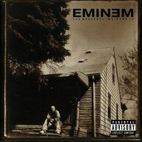 Eminem The Marshall Mathers LP Album Cover Poster Silk Art Etsy