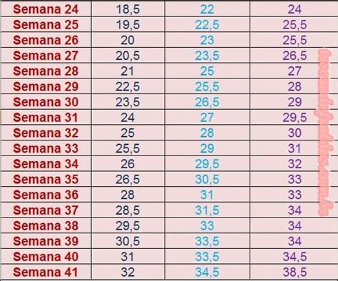 Altura Uterina O Que Significa Na Gravidez Famivita