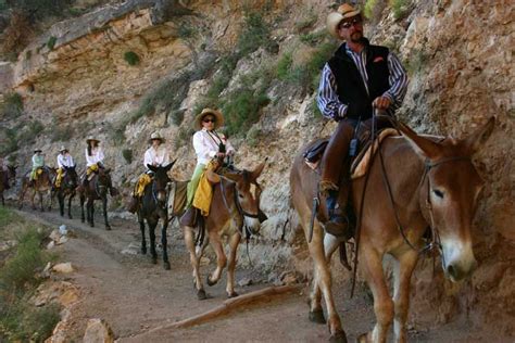 Mule Ride to Phantom Ranch by Peg Price | Grand canyon mule ride, Trail life, Arizona