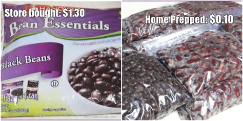 Can You Freeze Black Beans How To Save Loads Of Money And Time