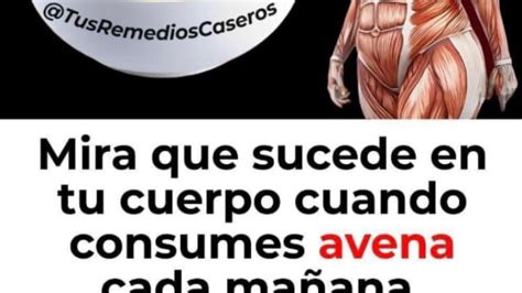 Descubre Los Beneficios De Comer Avena Cada Ma Ana Minutos