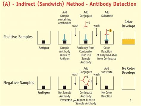 ELISA technique protocol poultry | PPT