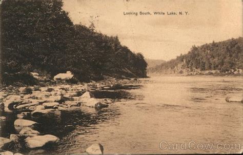 Looking South White Lake, NY Postcard