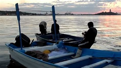 Macabro Pescadores Encuentran Cuerpos Flotando En El Mar De Guaymas