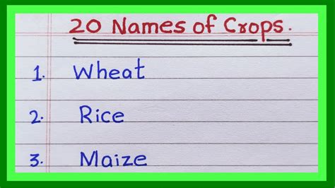 Names Of Crops In English List Of Crops In India 20 Name Of Crops