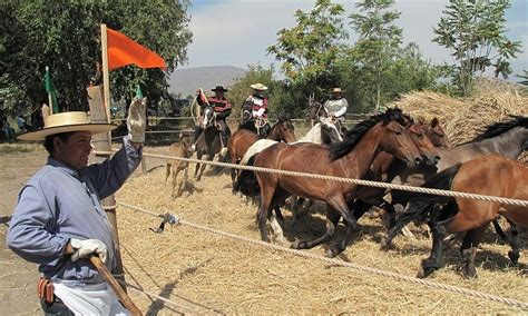 Tradiciones Y Folclor Se Har N Presentes En La Trilla A Yegua Suelta