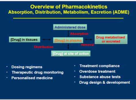 PHARM Pharmacokinetics 1 Drug Absorption Flashcards Quizlet