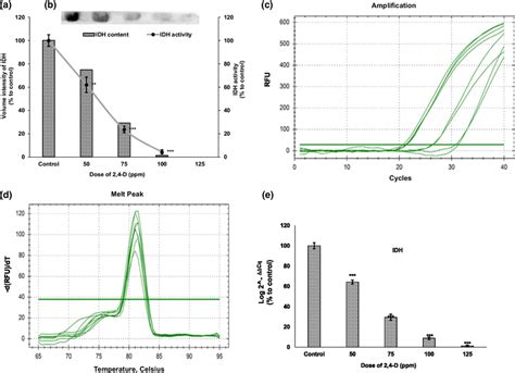 Effect Of 2 4 D On Isocitrate Dehydrogenase Enzyme A Graphical