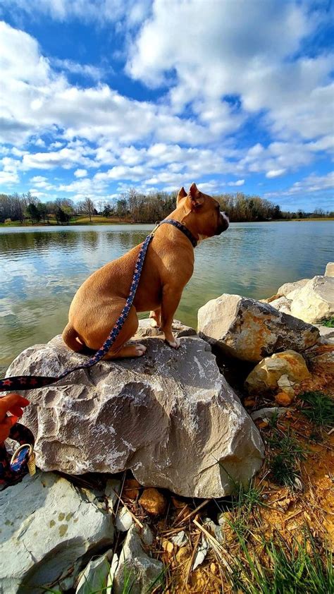 Morning Walk @ Cane Creek Park in Cookeville, TN in 2023 | Beautiful ...