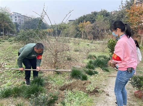 眉山东坡区通惠街道蓬莱社区：春暖三月学雷锋 增绿护河美家园 消费质量网