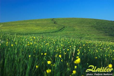 Mountain Zlatibor