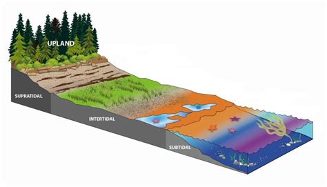 Estuary Info - Restore America's Estuaries