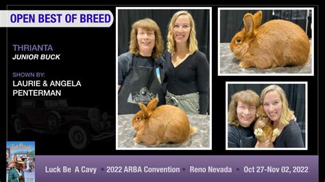 2022 ARBA Convention American Thrianta Rabbit Breeders Association