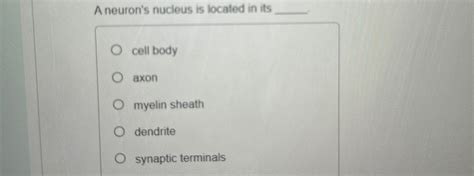 Solved A neuron's nucleus is located in its q,cell | Chegg.com