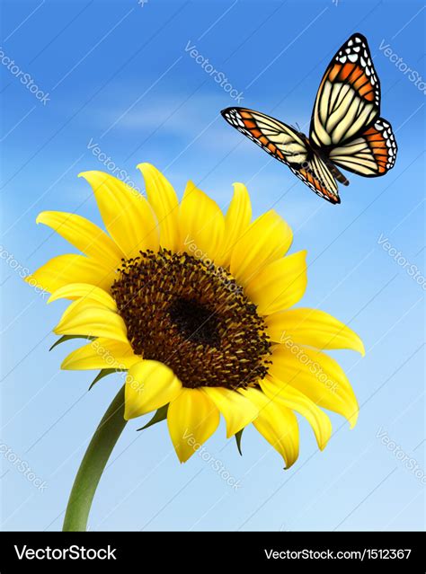 Nature background with sunflower and butterfly Vector Image