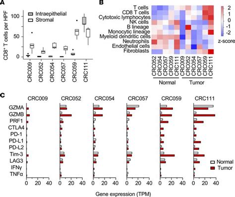 Jci Insight Proteogenomic Identification Of An Immunogenic Hla Class