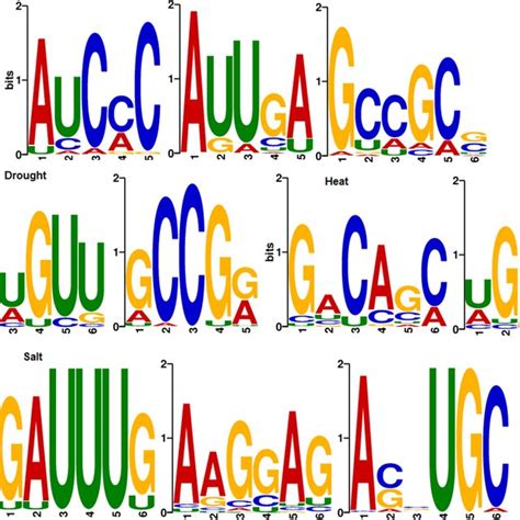 A Tsne Plots For Different Stress Category With Selected Features B