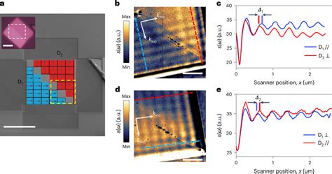 Anisotropy Of Eps In Snse A Scanning Electron Microscope Image Of The