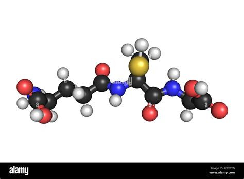 Glutathione GSH reduced antioxidant molecule 3D render chemical ...