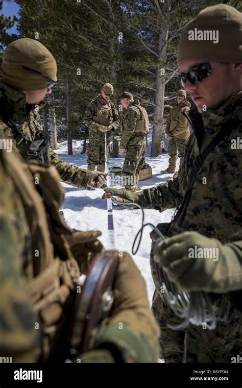 U S Marines With Bravo Company 1st Combat Engineer Battalion CEB