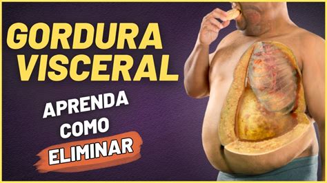 Como Eliminar A Gordura Visceral Youtube