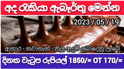 Job Vacancy In Sri Lanka 2023 Job Vacancy 2023 Job Ideas Job