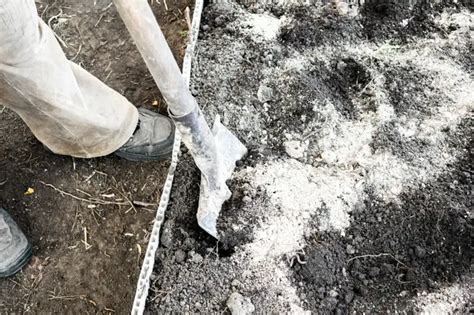 Holzasche als Dünger Wie Sie Kaliumdünger selber machen