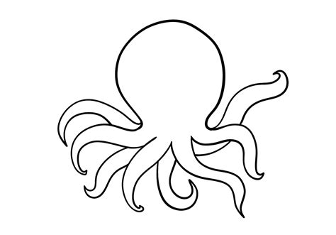 Octopus Drawing Outline