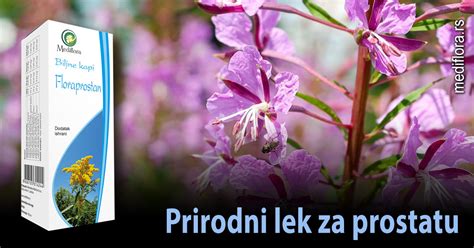 Prirodni Lek Za Prostatu Mediflora