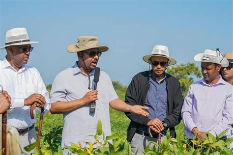 Pm Abiy Visits Soybean Cultivation Developed Through Cluster Farm In Central Gonder Zone Ethiopia