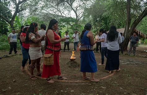 Pueblos Indígenas Y Comunidades Locales — Aldea