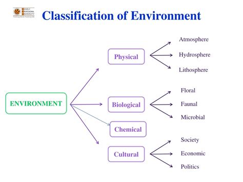 Ppt Chapter 1 Introduction To Environmental Studies Powerpoint