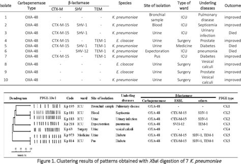 Characterization of carbapenemase-producing Enterobacteriaceae isolates ...