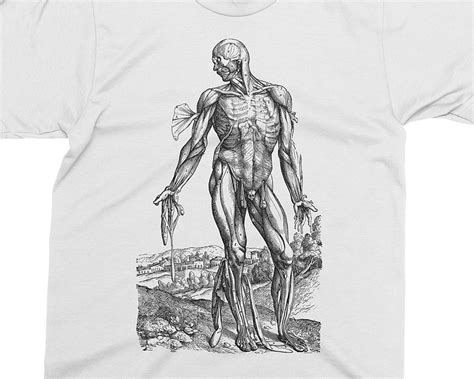 Skinless Man Muscles Andreas Vesalius T Shirt Gift For Etsy