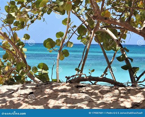 Beach View from Barahona stock image. Image of view - 179507601