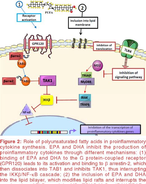 Figure 1 From Omega 3 Polyunsaturated Fatty Acids And Cardiovascular