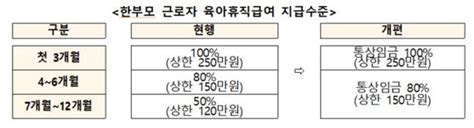 월급 다 받으며 육아휴직 할 수 있다연간 최대 4200만원 중앙일보