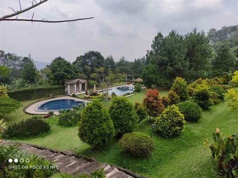 Villa Rudang Di Puncak Murah Dengan Kolam Renang Private View Lepas