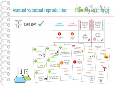 Asexual Versus Sexual Reproduction Card Sort Ks2ks3 Teaching Resources