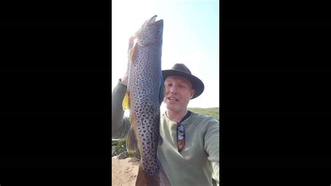 Norwegian Brown Trout Youtube