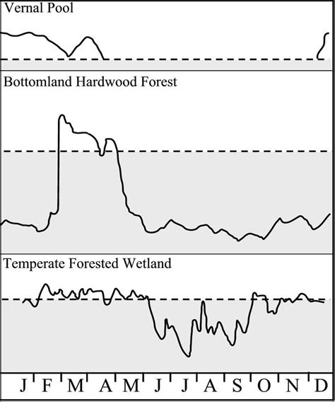 Hydrographs Illustrating Variation In Annual Average Hydroperiod For