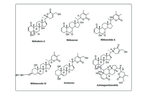 Structure of different phytochemicals from Withania somnifera ...