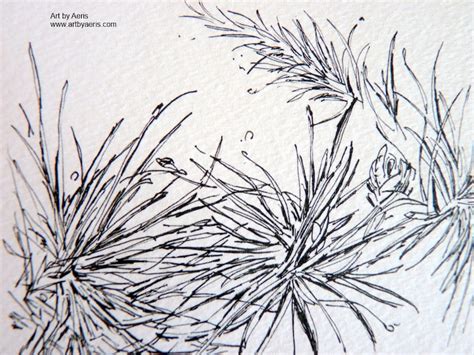 Pine Needles Art 5x7 or 8x10 Black Ink Illustration Print of - Etsy