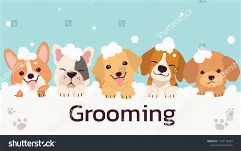 Dog Grooming Cartoons Royalty-Free Images, Stock Photos & Pictures ...