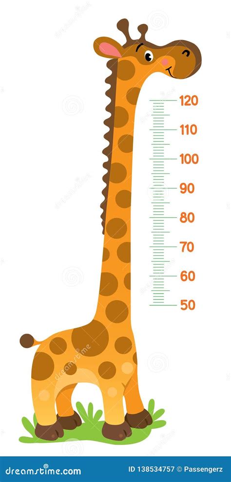 Giraffe Meter Wall Or Height Chart Or Wall Sticker Stock Illustration