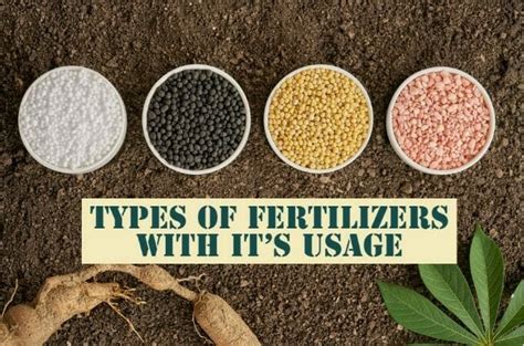 Home And Garden : Different Types of Fertilizers