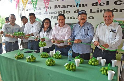 Inauguran Centro De Acopio De Limón En Acapulco Mar De Noticias Guerrero