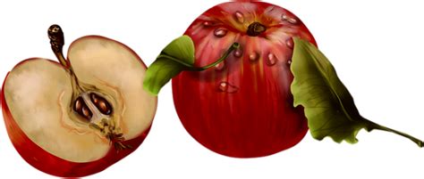 Tube Fruit Pomme Png Apples Clipart Manzana Png