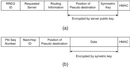 packet frame structure  scientific diagram