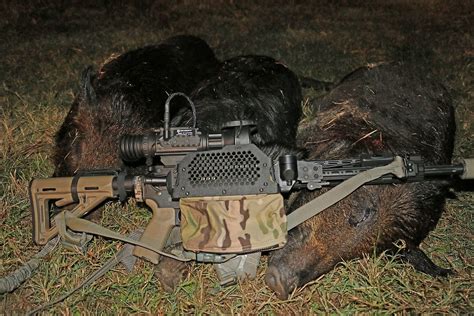 22 Hogs and 12 Coyotes Down. | Lone Star Boars